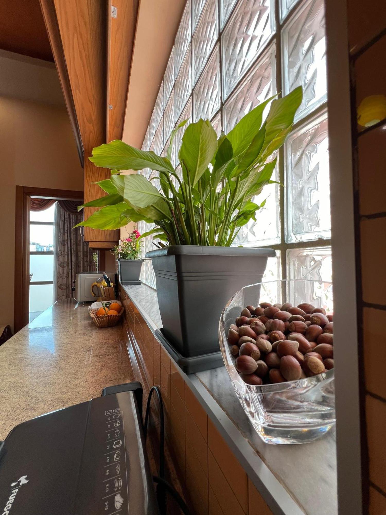 Apartment 189 Тирана Екстер'єр фото